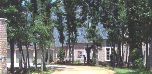 Butterfield Junction Ranches